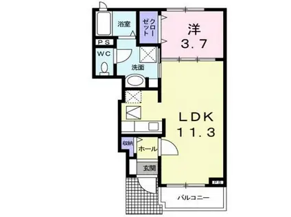 CLEMENT・F(1LDK/1階)の間取り写真