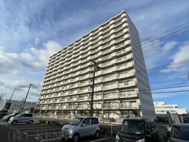 ベルフラワー八軒