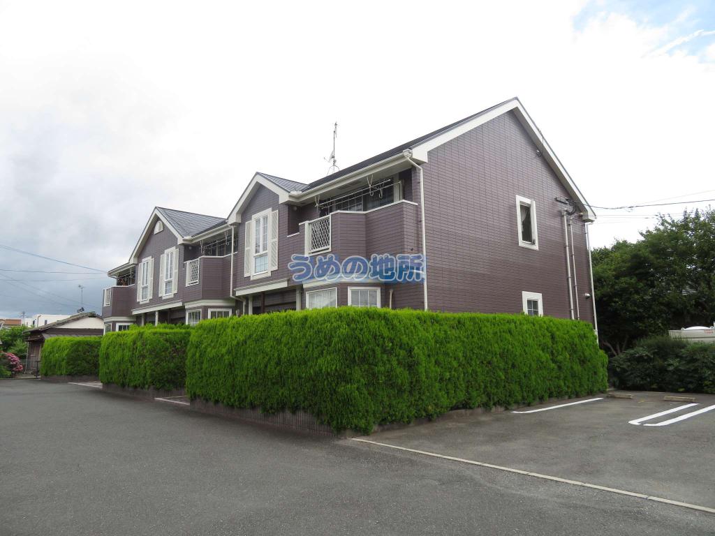 エクセラン原
