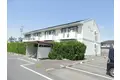 ピアドールハーレクィーン