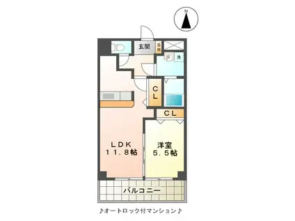 メゾンド・ルミエール(1LDK/1階)の間取り写真