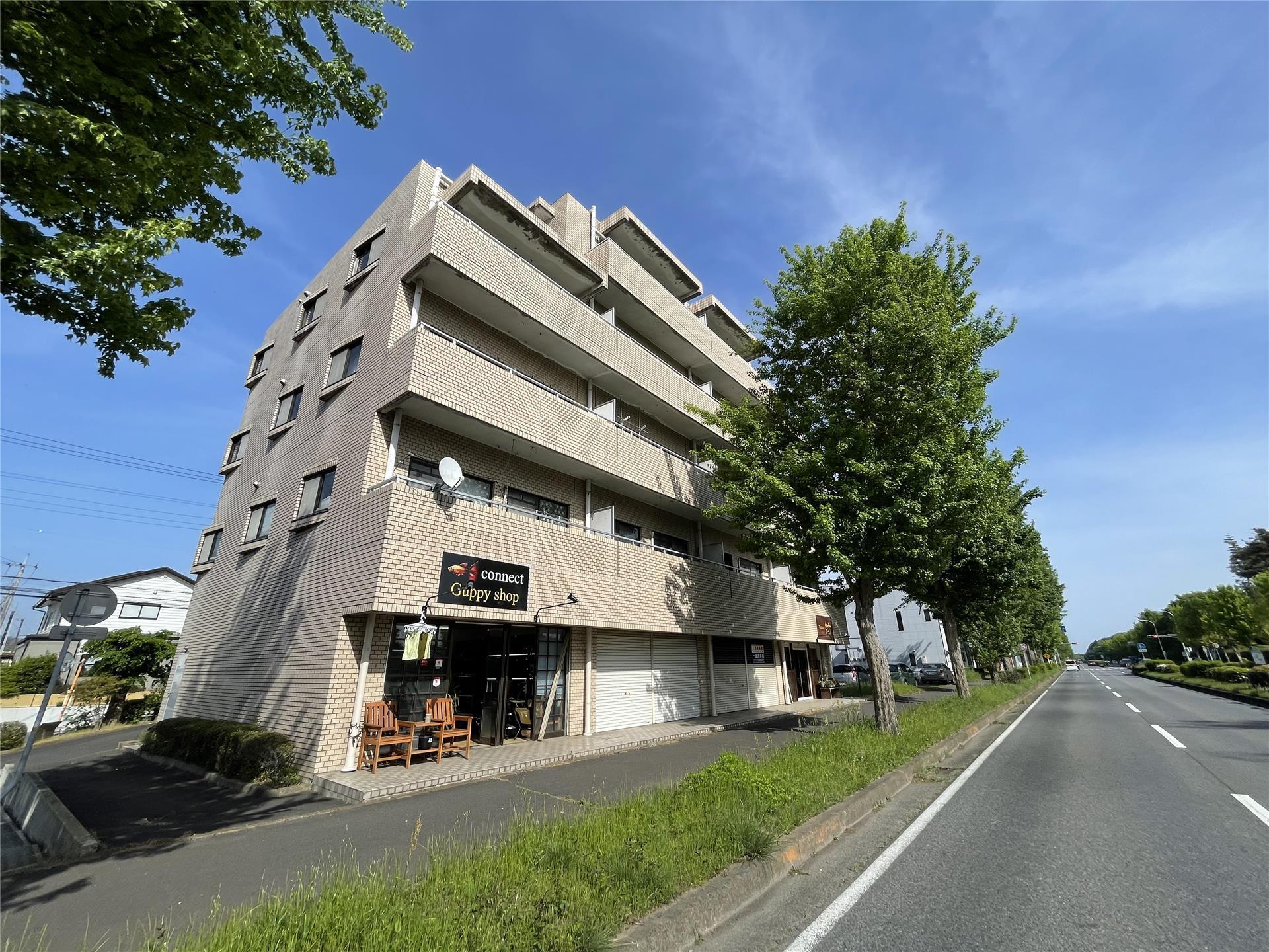 サンハイムつくば(3DK/4階)