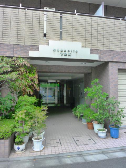 マグノリアY2K
