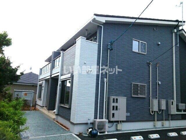 ダンデライオンA