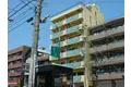 フリージア