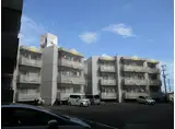 リトルウイング