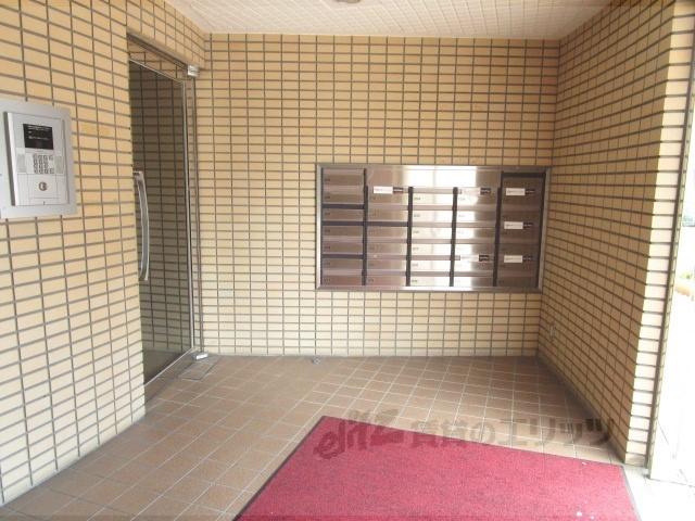 ホルティコルヌス