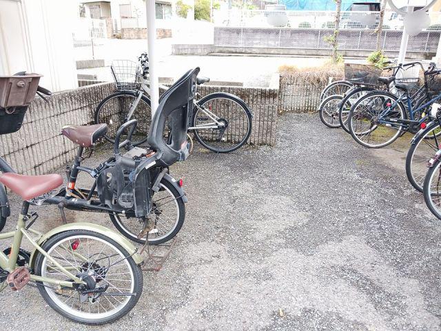サングレイス