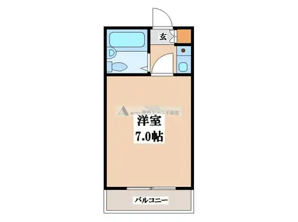 メゾンSK(1K/1階)の間取り写真