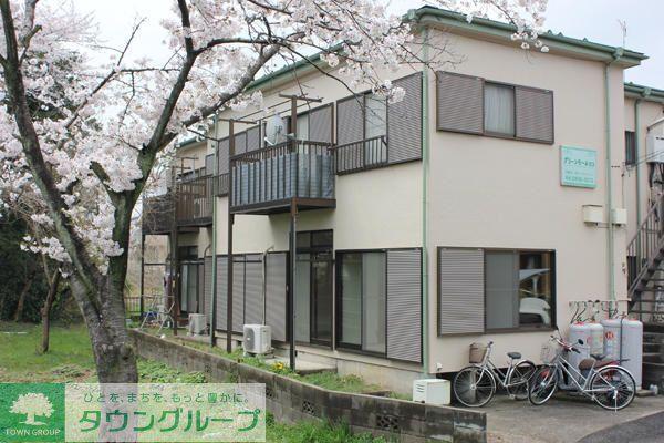 グリーンモールロコ
