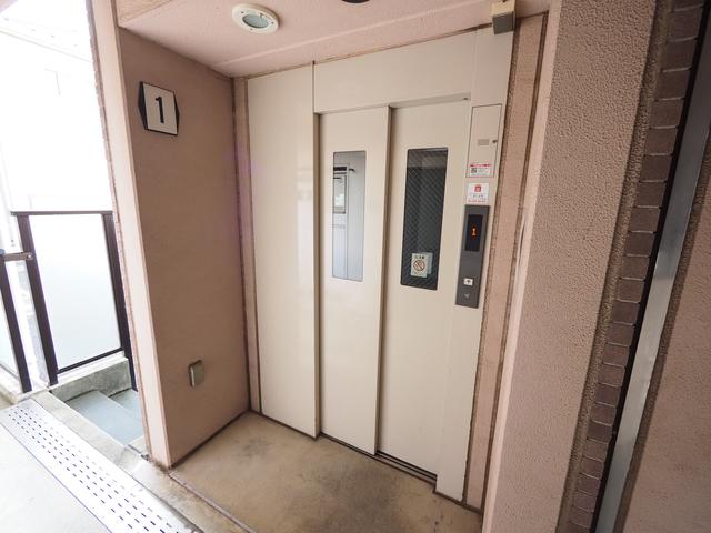 メゾンドY