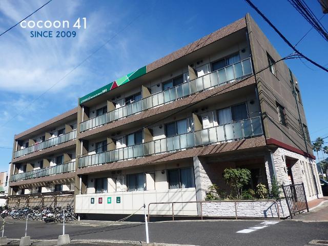 COCOON41