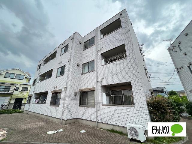 ラシーネ扇アイリス
