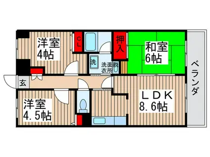 アコール新松戸(3LDK/3階)の間取り写真