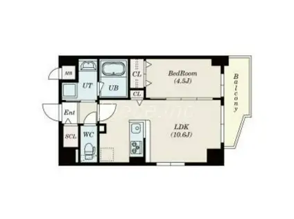 エリジオンⅡ(1LDK/7階)の間取り写真