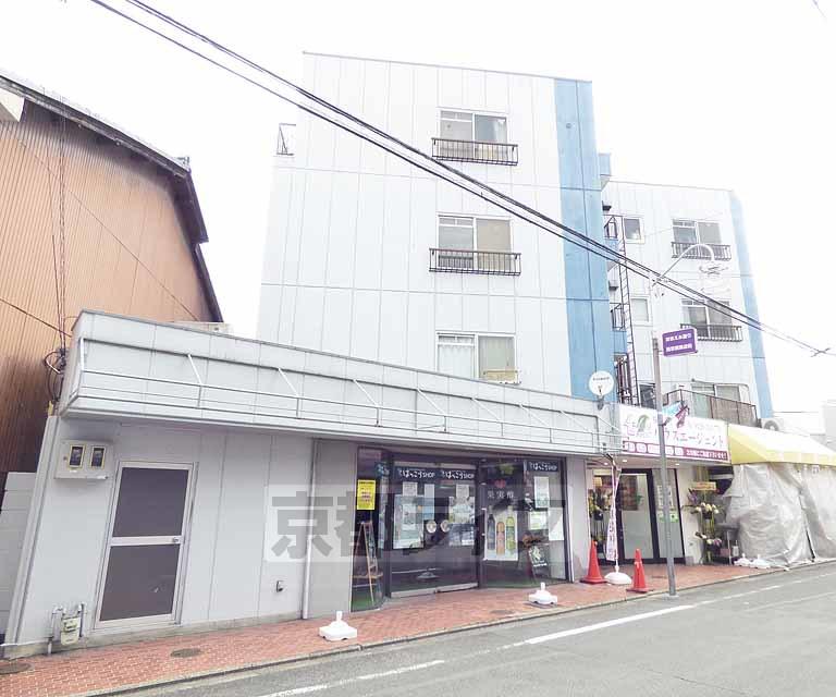 ドルミイシダ