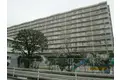 市川グリーンハイツD棟