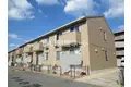 春夏秋冬 夏