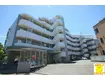 ブルームライフ市川(3DK/6階)