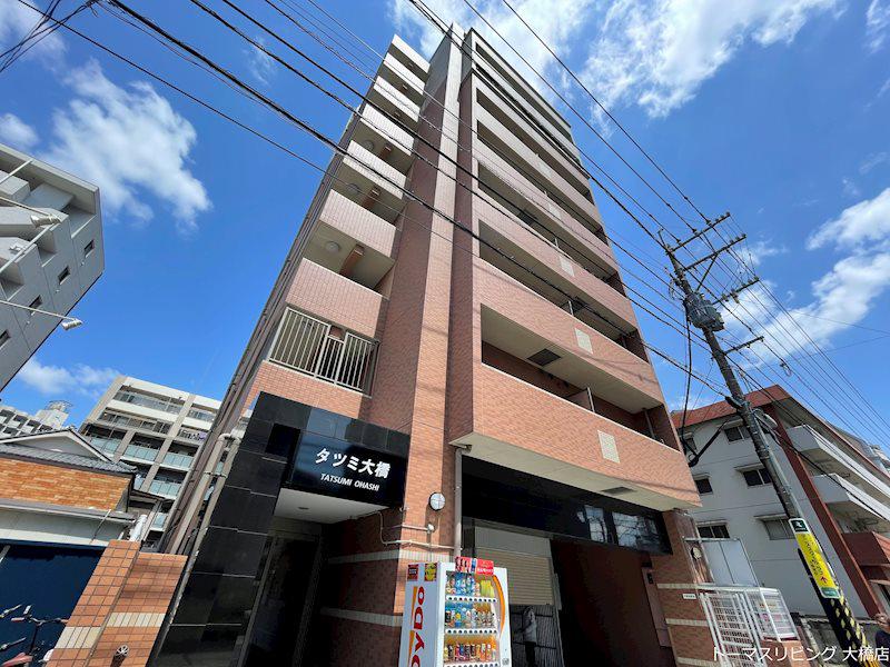 タツミ大橋