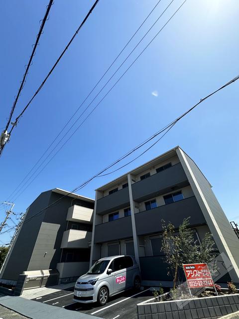 ひまわり