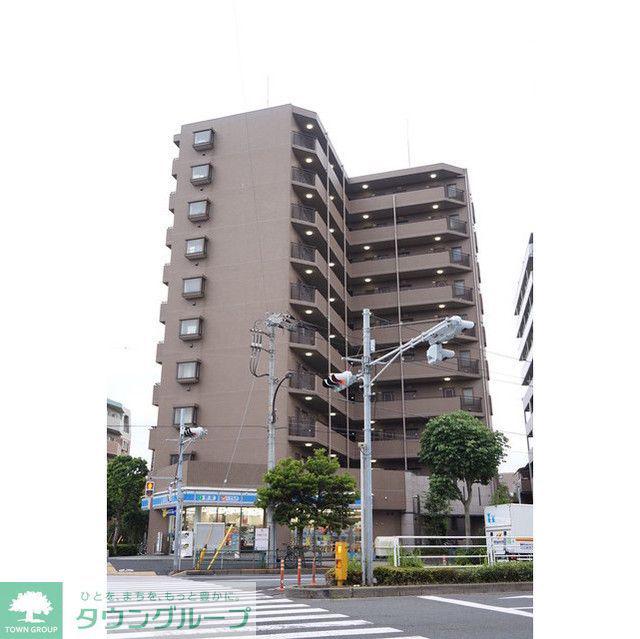 サンフラワー第6