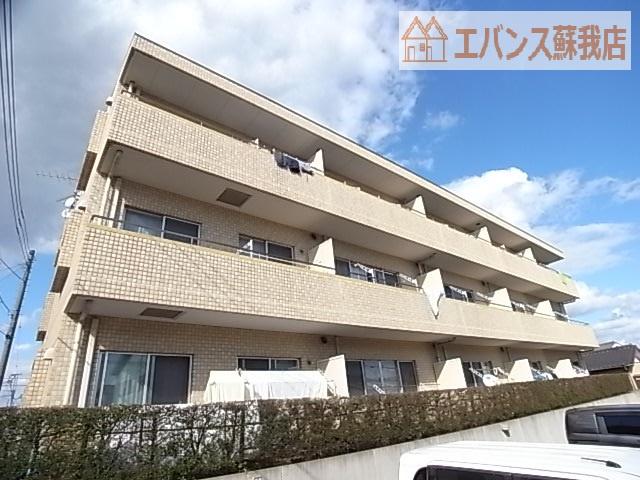 マナ・ブライトン
