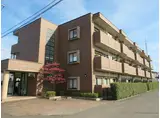 イーストオウギ