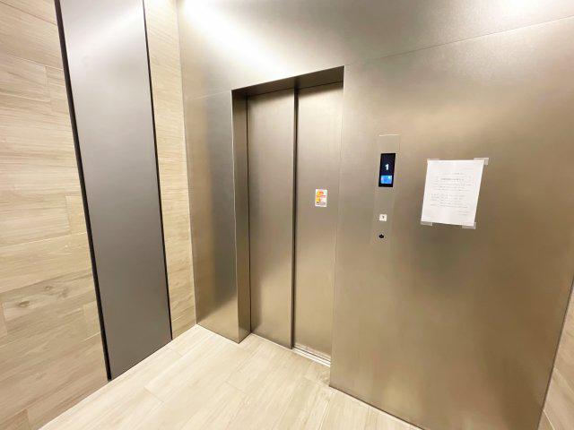 STRATA / ストラータ