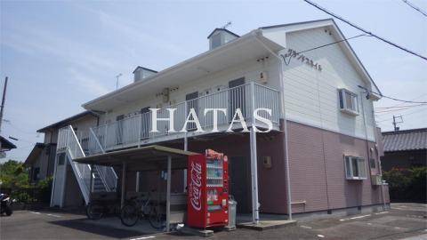 グランド スネイル