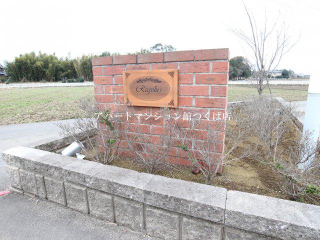 REGULUSレギュラス