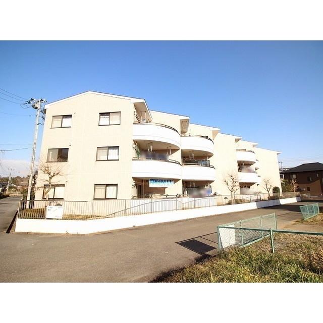 ルンビーニ並木