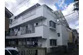 サングレース