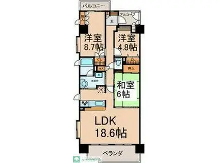ロータリー春岡205(3LDK/6階)の間取り写真