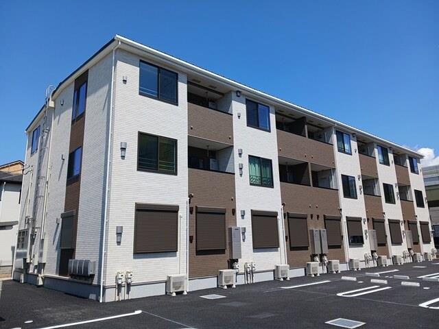 オリーブ