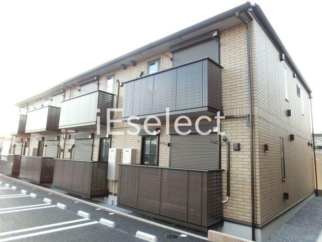 ベラ フェリシア