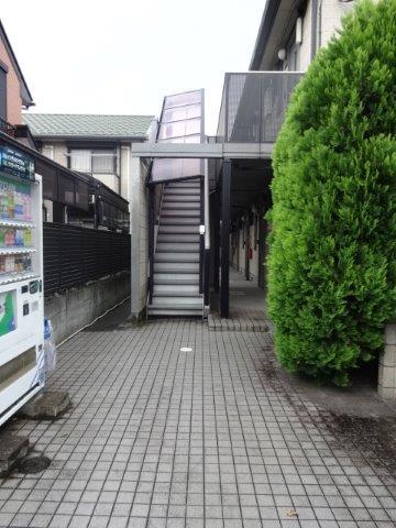 アルビレオY