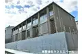 アドニス C