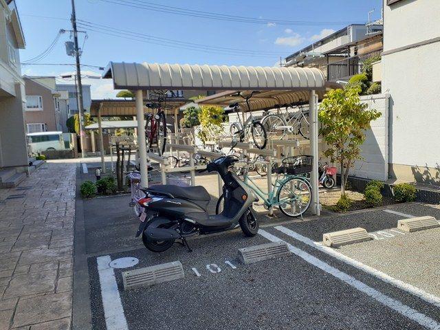 プロムナ-ドコルヌスフロリダI