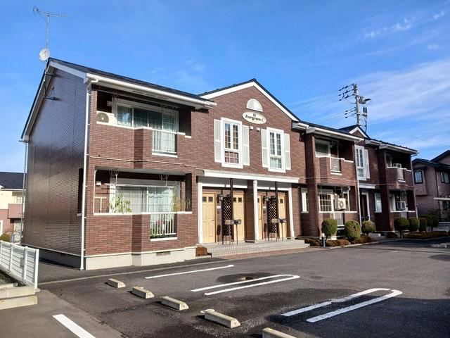 エヴァーグリーンC