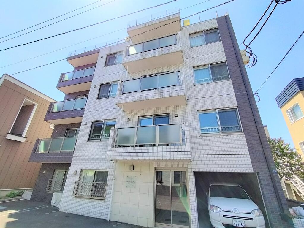 大白桜55