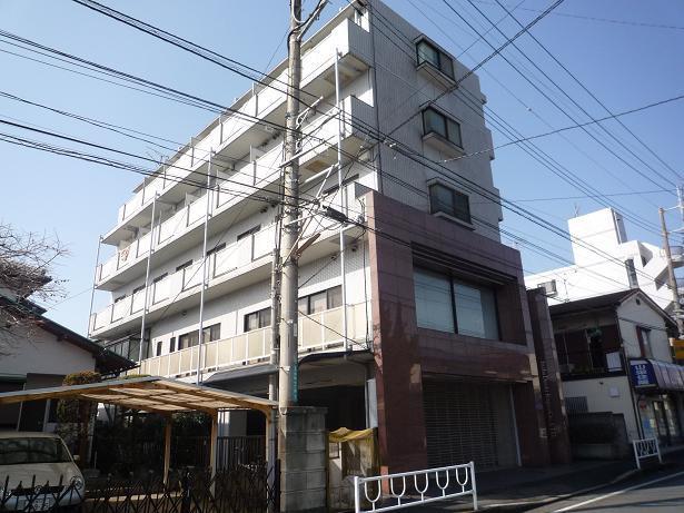 ハイム樹