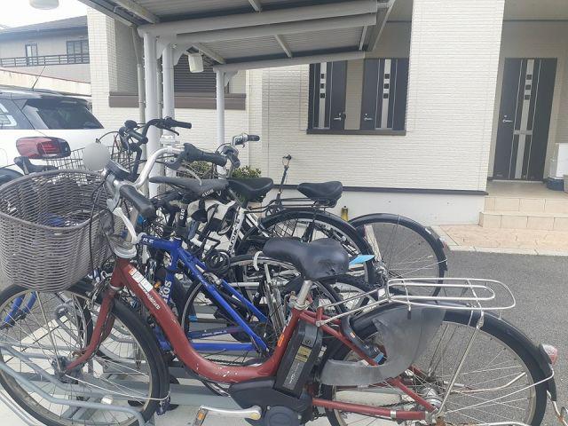ビータ プラシード
