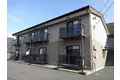 サープラスブライト