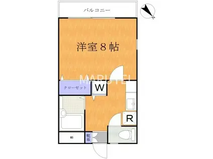 エバーグリーンM(1K/1階)の間取り写真