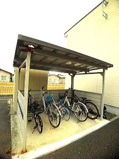 プリムラ