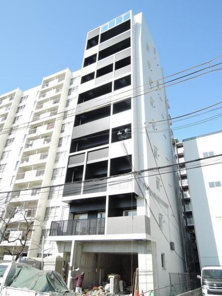 アレックス北堀江