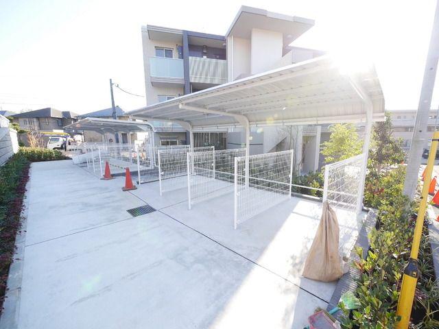 ラフィオレピス