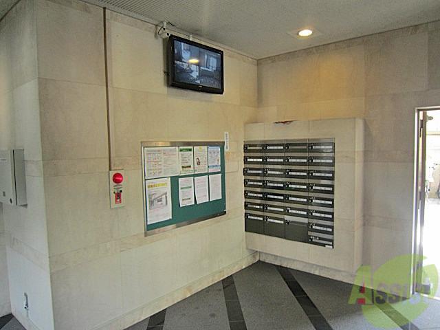 GRANPINO柴原