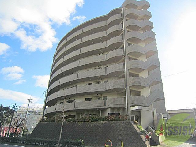 GRANPINO柴原